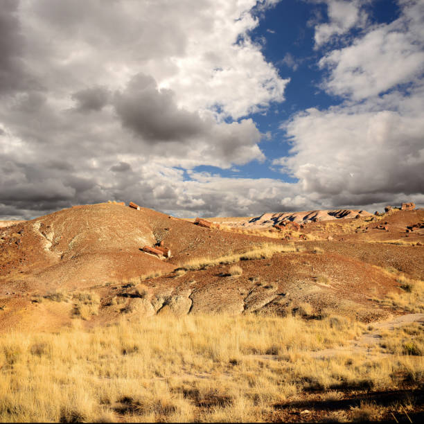 istock Rugged and Desolate Landscape Petrified Forest Arizona 1770644346