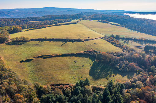 Bird's-eye view of autumn-colored forests near Presberg - Germany in the Taunus
