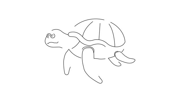 animated sketch of a turtle icon