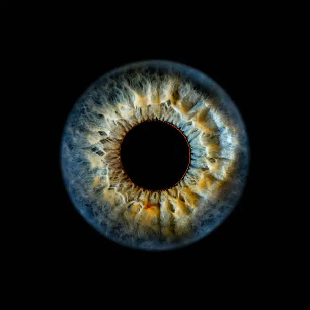 macro shot of human eye