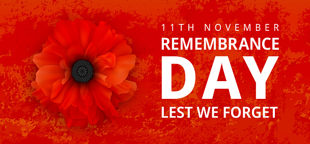 Remembrance Day Poster. Poppy Day. Poppy flower - Remembrance Day symbol. 11th November Remembrance Day Lest We Forget text. Realistic Poppy Flower on the red grunge background. 3d Vector illustration