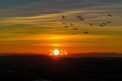 Transition from 2023 to new year 2024 concept with text on sun rising sky. Life is short birds are flying.
