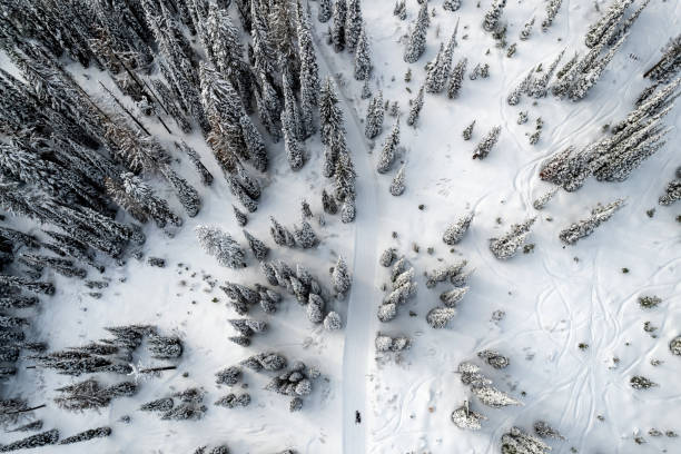 Aerial view of winter landscape atop alpine forest mountain top Aerial view of winter landscape atop alpine forest mountain top Snowmobiling stock pictures, royalty-free photos & images