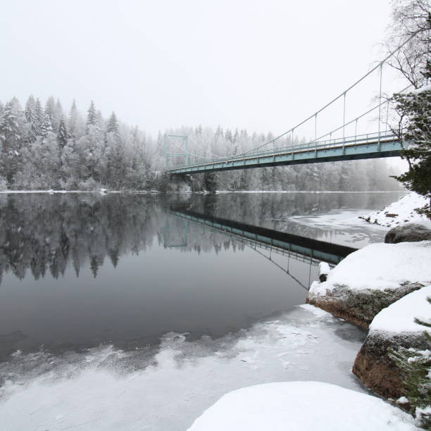 Stunning aerial view of a snow-covered forest surrounding a frozen lake. The winter scene conveys peaceful, cold air and expansive, quiet countryside.