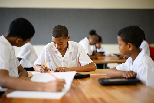 Schoolgirl writing at her desk in elementary school lesson