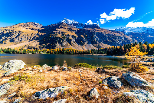 A view of the Cavlocc lake, in Engadine, Switzerland, and the mountains surrounding it and with autumn colours.
