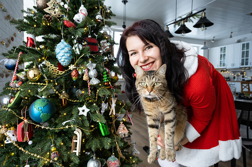 Selfie funny portrait of a woman in a red Santa dress and domestic cat in a home interior with a Christmas tree and New Year decor. Preparation for the holidays, party
