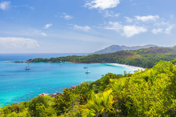istock Anse Lazio beach on a sunny day, bird eye view. Praslin, Seychelles 1770744016