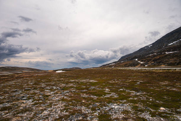 istock northern Norway landscape 1770744634