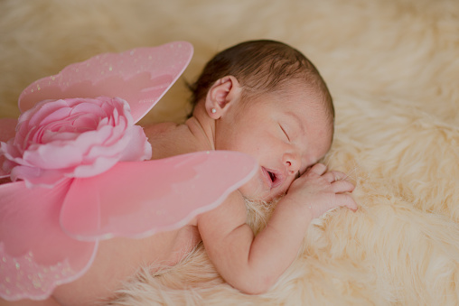 Newborn girl wears pink butterfly wings on her back. Newborn photograph.