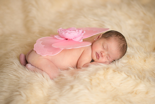 Newborn girl wears pink butterfly wings on her back. Newborn photograph.