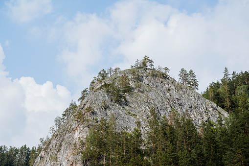 A rock against the background of a white cloud, a mountain landscape, pine trees grow on top of the mountain, the nature of Russia taiga landscape. High quality photo