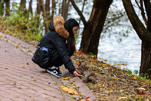 Moscow, Russia – October 21, 2023: A girl feeds two squirrels in an autumn park.