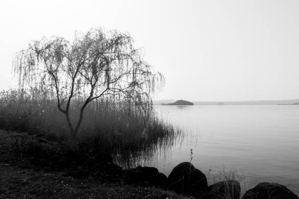 A misty and moody morning at Derwent Water in the English Lake District , Keswick, Cumbria, UK.