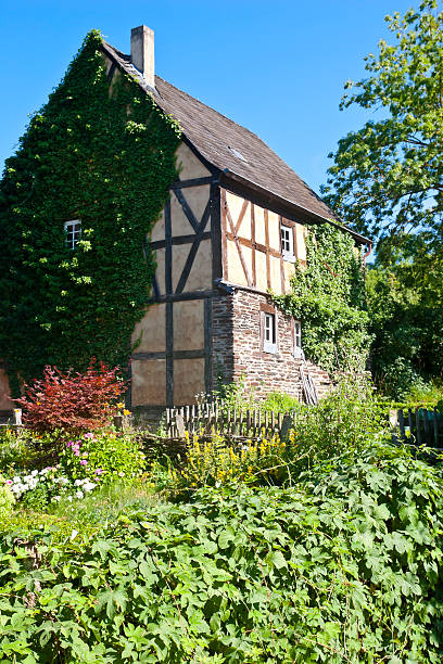 istock Old Overgrown Farmhouse 177077446