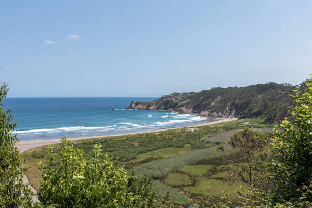 istock A Breathtaking View from a Cliff: Overlooking a Pristine Beach and the Vast Ocean 1770781398