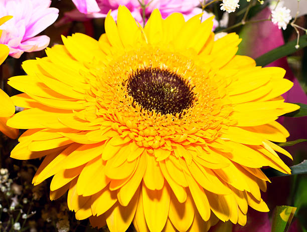 istock Beautiful fresh bouquet with gerberas. 177078682