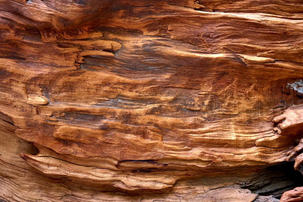 The wood is red and brown color with layers and lines like a rose petal. High angle view of a flat textured wooden board backgrounds. It has a beautiful nature and abstractive pattern. A close-up studio shooting shows details and lots of wood grain on the wood table. The piece of wood at the surface of the table also appears rich wooden material on it, shows elegant and soft textured. Flat lay style. Its high-resolution textured quality.