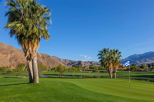 поле для гольфа, расположенных в палм-спрингс, штат калифорния - lawn desert golf california стоковые фото и изображения