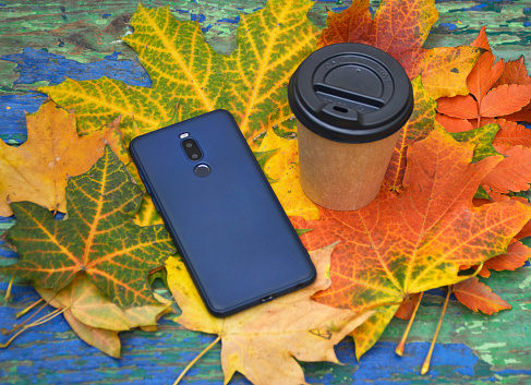a disposable cup with a hot drink and a smartphone lie on beautiful autumn leaves on a bench in a city park. warming up with tea or coffee while walking in the fresh air