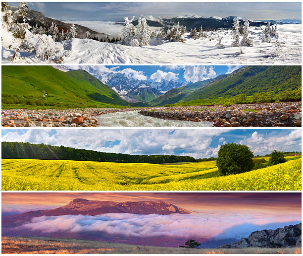 Set of the 4 seasons landscape for banners