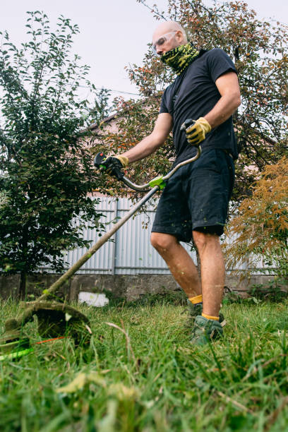 istock View of a young man cutting the grass in his backyard. 1770848160
