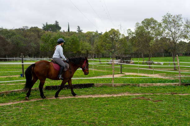 istock Woman riding horse outdoors in nature 1770855268