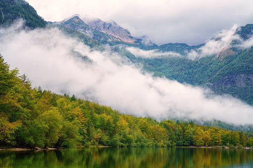 Idyllic autumn scene: Dry autumn leaves floating on a water surface of the lake. Trees are reflecting in the water.