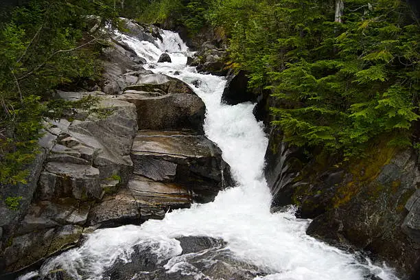 Photo of Rainier River