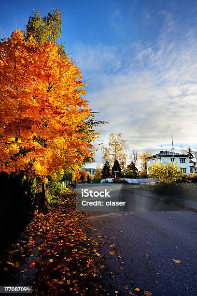 Herbst Suburban Street Scene Stockfoto und mehr Bilder von Asphalt - Asphalt, Außenaufnahme von Gebäuden, Baum