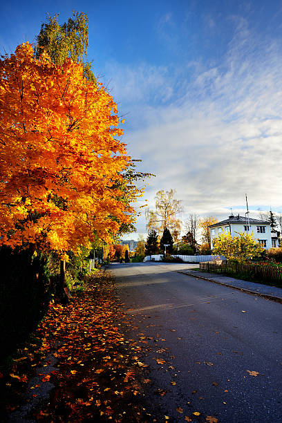istock Fall, suburban street scene 177087094