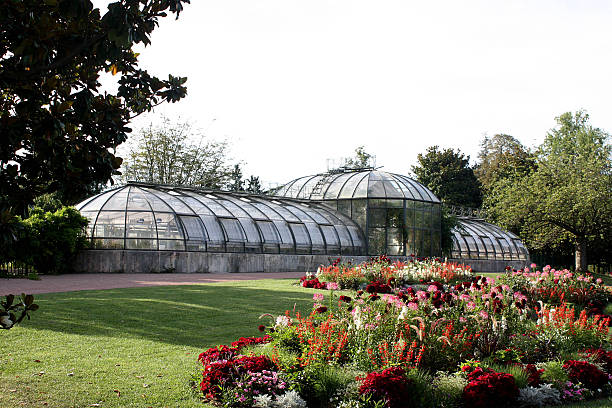 istock Botanical greenhouse glass 177087263