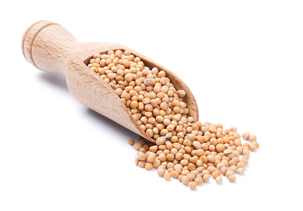 istock Wooden shovel with dry mustard 177087294