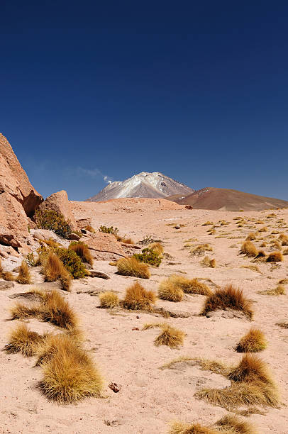 istock Bolivia -  Eduardo Avaroa National Park 177087426