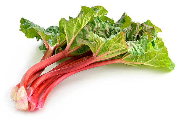 istock Rhubarb laying on a white background 177087863