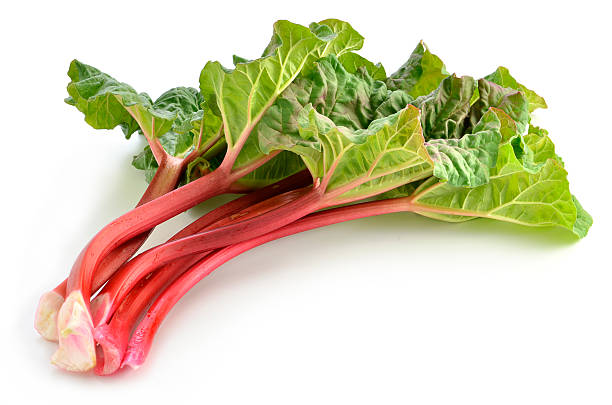 Rhubarb laying on a white background Fresh picked Rhubarb on white background rhubarb photos stock pictures, royalty-free photos & images