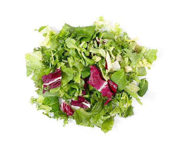 salade composée - leaf vegetable radicchio green lettuce photos et images de collection
