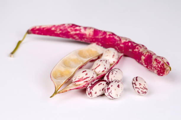Fresh kidney beans on a white background