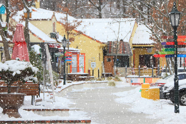 istock a snowy winter scene 1770896493