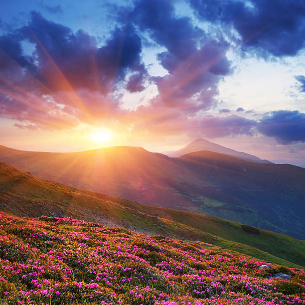 istock Summer sun setting behind mountains bathes landscape in glow 177089757