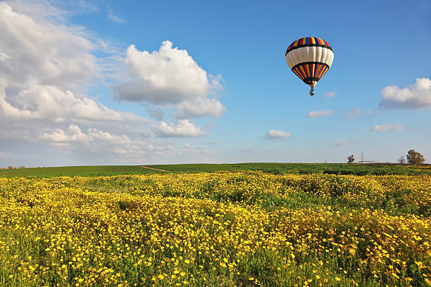 istock Balloon over the field 177090115