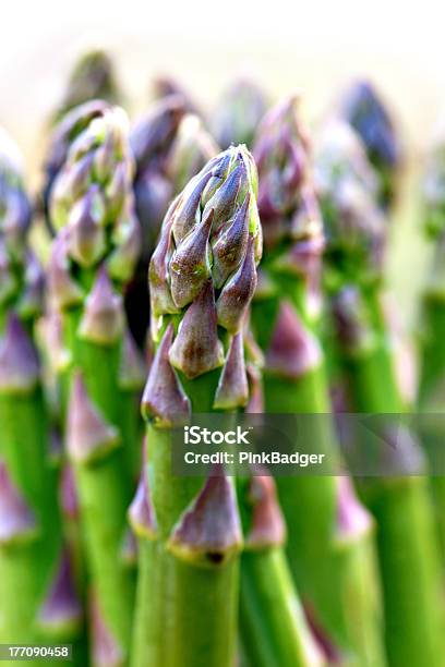 Fresh Asparagus Stock Photo - Download Image Now - Agriculture, Asparagus, Bunch