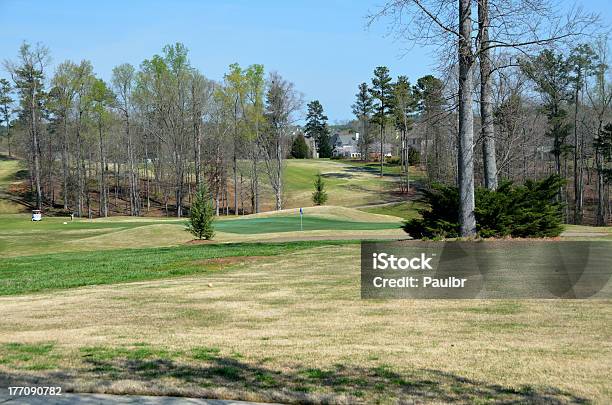 Campo Da Golf - Fotografie stock e altre immagini di Georgia - Stati Uniti Meridionali - Georgia - Stati Uniti Meridionali, Athens - Georgia, Golf