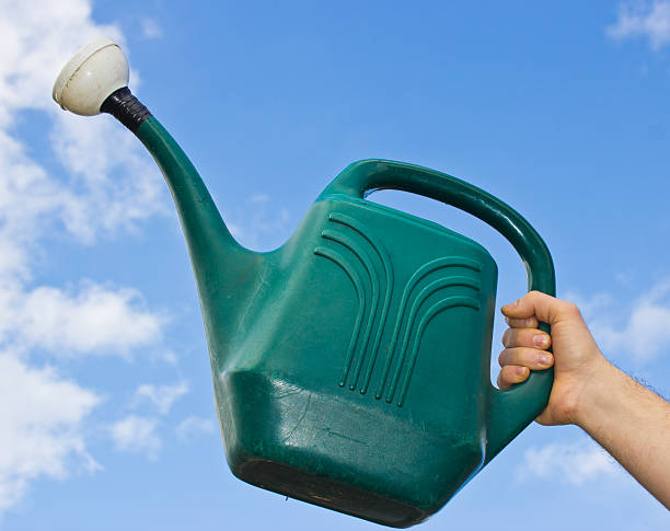 istock Gardening Watering Can 177090806