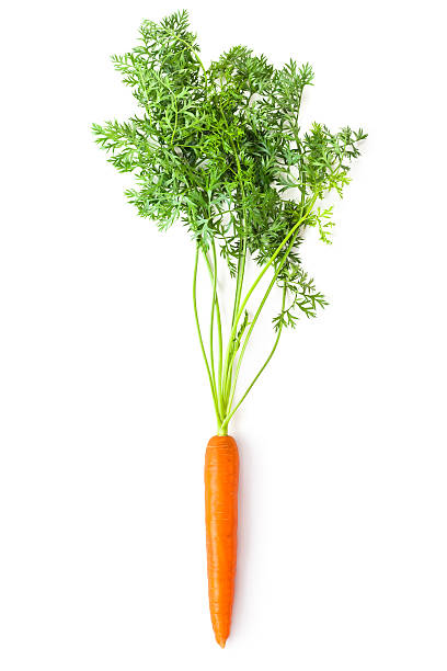 istock Root-crop of carrot with green tops 177090915