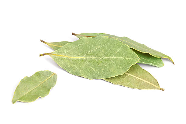 istock Bay Leaves isolated on white background. 177091253