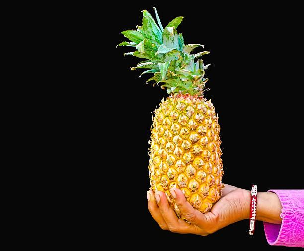 Ananas comosus / Pineapple stock photo