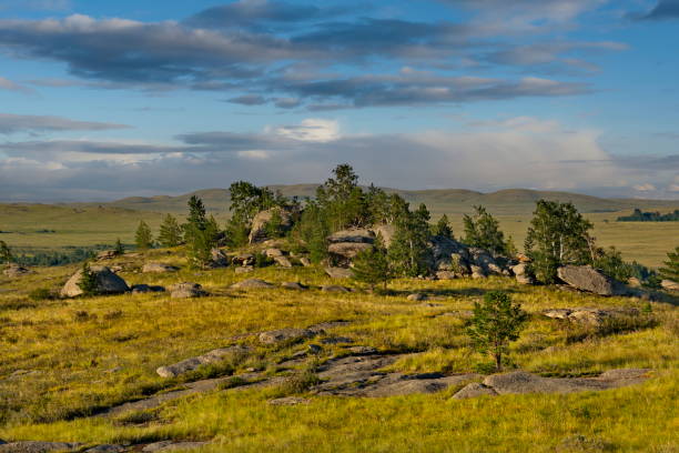 istock Remnants of the Kolyvan Lake 1770914842