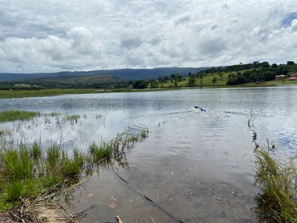 istock River in Minas Gerais - Brazil 1770917099