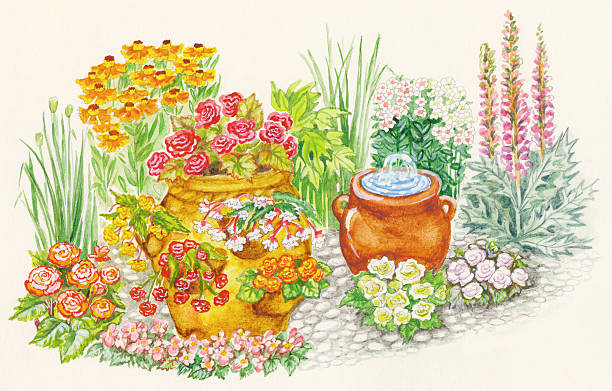 Garden design of flower beds with little fountain in flowerpot Watercolors hand painted by photographer pictures of garden design of flower beds with little fountain in flowerpot carex pluriflora stock illustrations